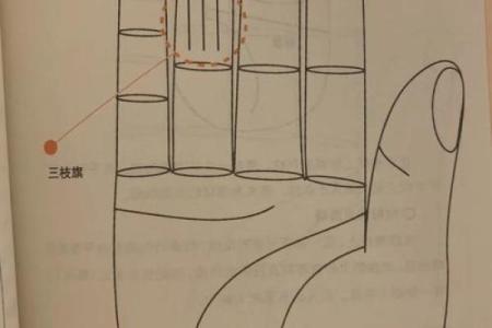 火命体型与富贵相赫然，深度解析一生运势与身体象征！