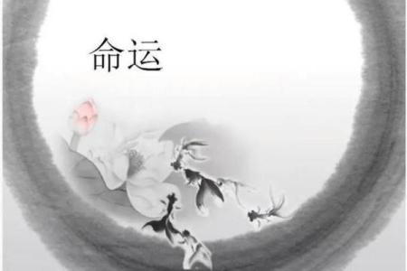 2034年命运之选：解密未来的16种属性命运!