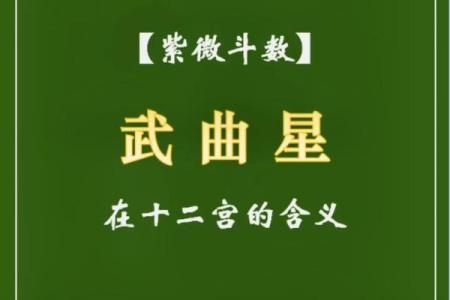 紫薇命盘中的武曲星：探索命主的独特性格与命运轨迹