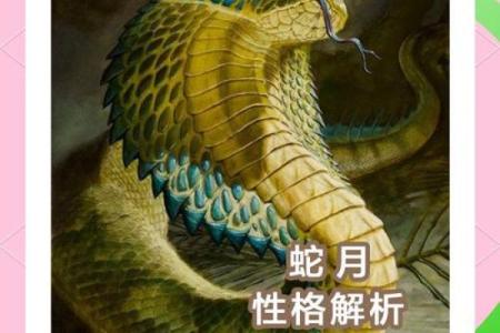 1977年出生的男蛇：命运与个性的奇妙结合