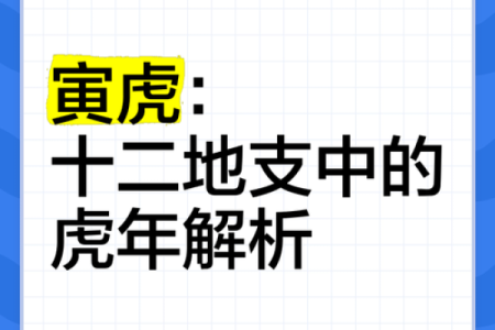 2010年出生的虎年命运解析：探究他们的性格特征与人生轨迹