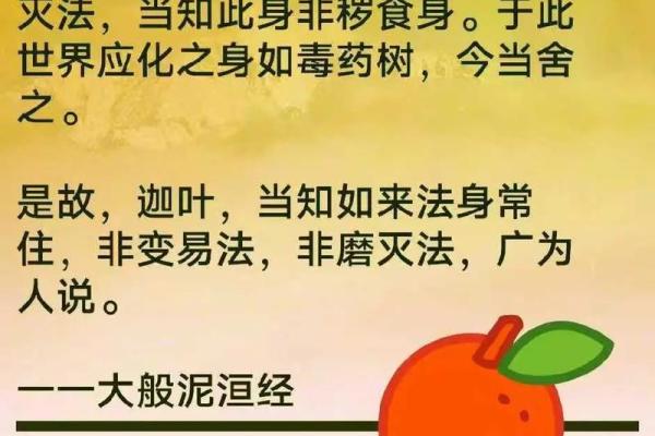 命带杀绝,看似无情,实则蕴藏深刻哲理与人生智慧 命带杀绝,看似无情,实则蕴藏深刻哲理与人生智慧