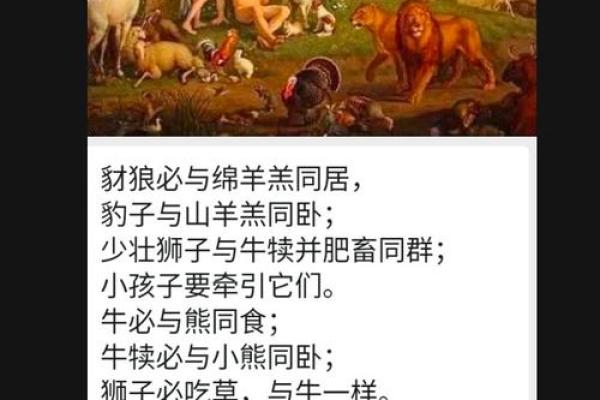 壁上土牛女命的禁忌：如何避免命理中的潜在危害