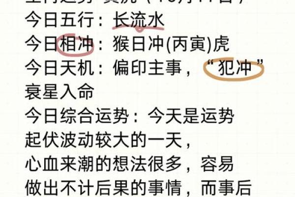 2022年虎年的命运解析：揭示你的运势与性格特征