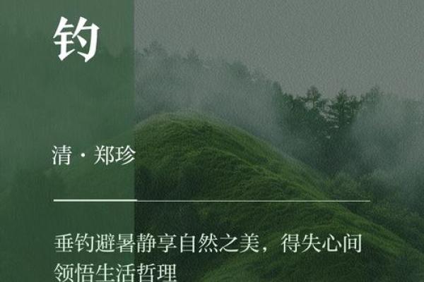 根据什么命钓什么：探寻人生的鱼饵与归属感