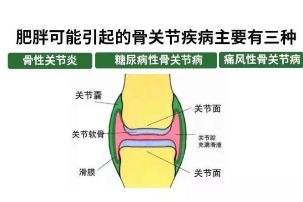 解析骨重6.9之命：命运与健康的深刻联系