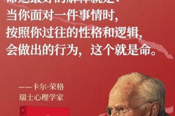 命运的交换：探索“我命换你命”的深刻内涵与哲学思考