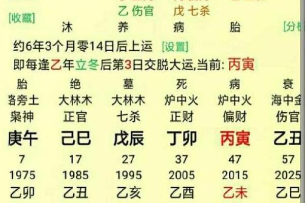 三个木命：揭秘木命格的独特魅力与人生特质