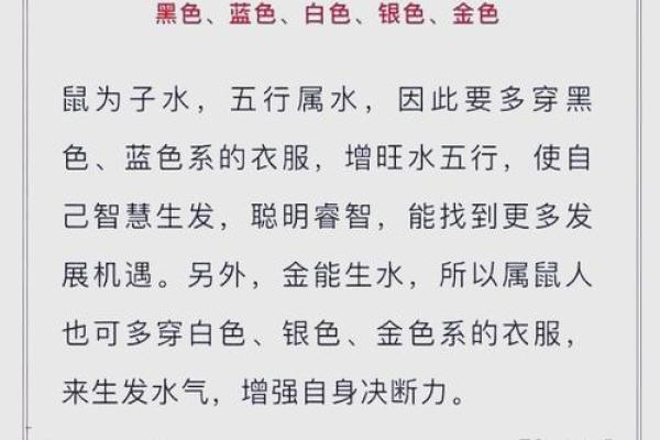 命理中的火元素：热情、能量与生肖的奥秘