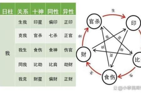 1995年出生人的命运与五行缺失解析