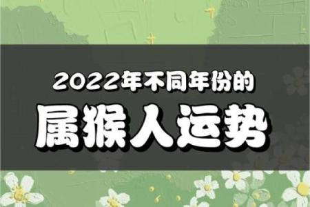 1980年的命运之旅：属猴人的人生秘笈与成功秘诀