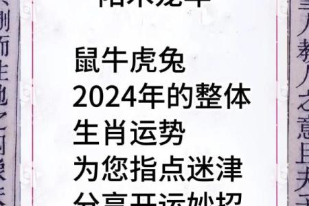 2024年属什么命：探讨生肖与命运的微妙联系