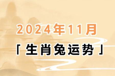 揭示2011年属兔人的命运：从八字看缺失与改善之道