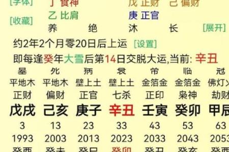 2017年牛年人命运解析：五行属性与人生轨迹的深度揭秘