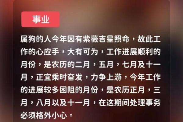 属狗人53岁命运解析：如何在事业与家庭中寻找到平衡