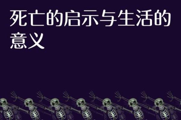 1965年命挂的奥秘与人生启示