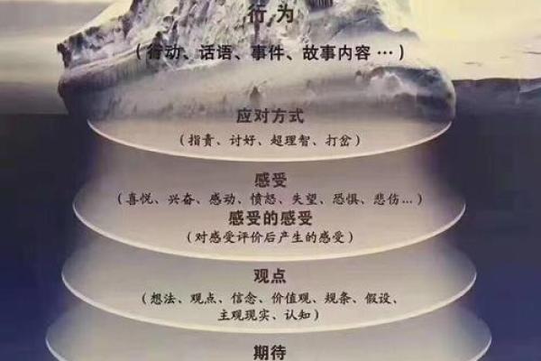 桑拓木命与合财之人：寻找理想的合作伙伴