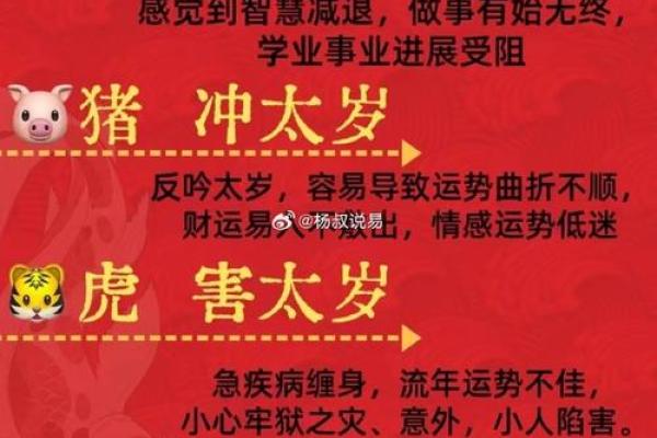 67岁属相解析：揭示命运背后的神秘面纱