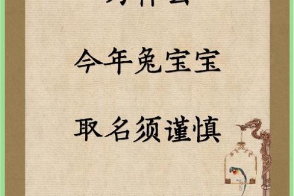 兔年宝宝命理解析：聪慧与温和的完美结合