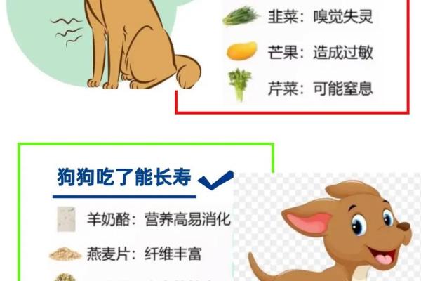 养什么都活的人，什么命？解密命运与养宠物的关系！