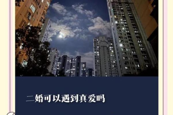 二婚幸福的命:如何寻找到属于你的美好人生 二婚幸福的命:如何寻找到属于你的美好人生