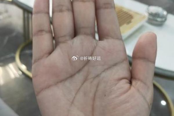 掌纹揭秘：深入了解你的命运与人生轨迹