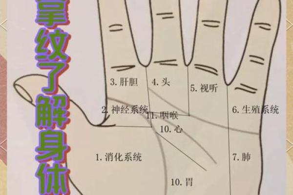 掌纹揭秘：深入了解你的命运与人生轨迹