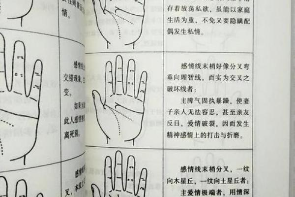 探秘手相：你手心的那些秘密与命运的联系！