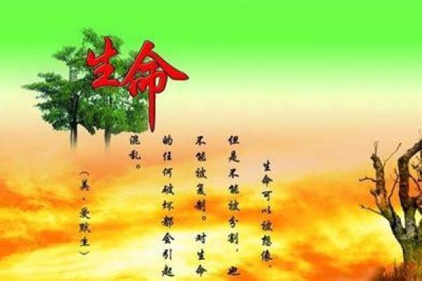 一命抵一命的思考：生命的真谛与意义探寻