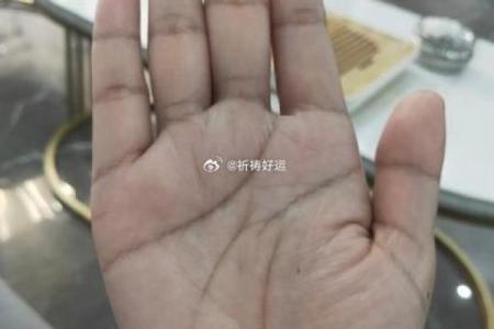 掌纹揭秘：深入了解你的命运与人生轨迹