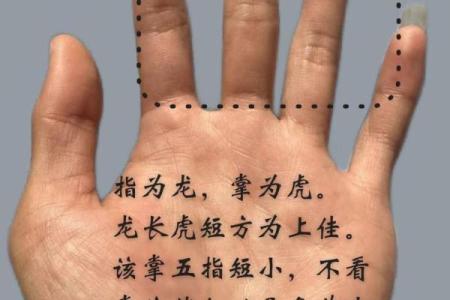 探秘手相：你手心的那些秘密与命运的联系！