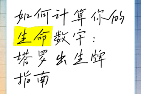 2011年出生的你，命理解析与未来展望，揭示生命奥秘！