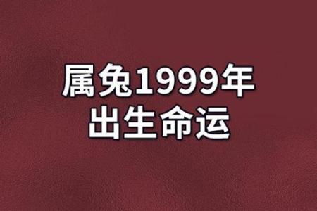 1975年属兔人的命运与性格解析：揭示生命的秘密与智慧之光