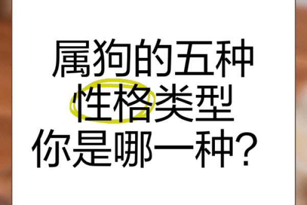 2018年属狗者命理分析：优势与不足，全面解析生命之路
