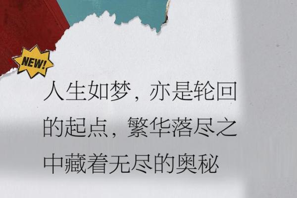 1986年出生的命运解析：揭示人生的奥秘与未来的指引