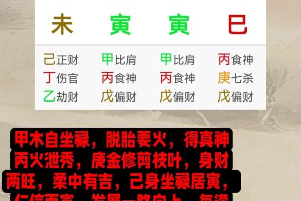 杂气正财格男命的特征与发展潜力解析