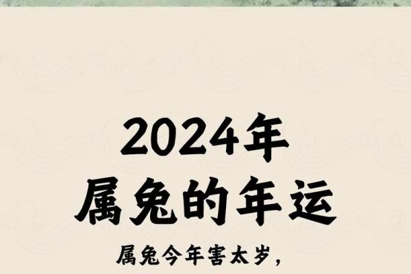 2023年属兔人命理解析：土命的秘密与运势解读