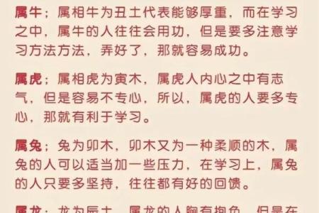 1988年卯兔命理解析：探寻兔年的命运与未来