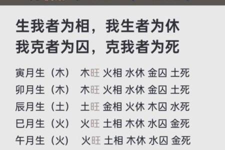 命运的转折：解读1995年3月28日出生者的独特人生轨迹