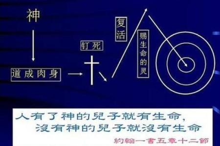 1986年出生的命运解析：揭示人生的奥秘与未来的指引