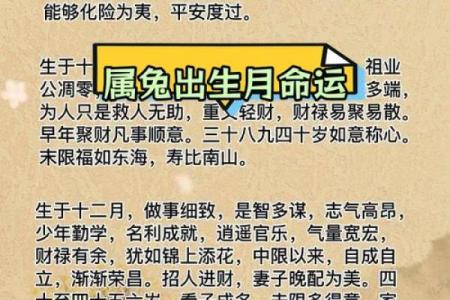 2023年属兔人命理解析：土命的秘密与运势解读