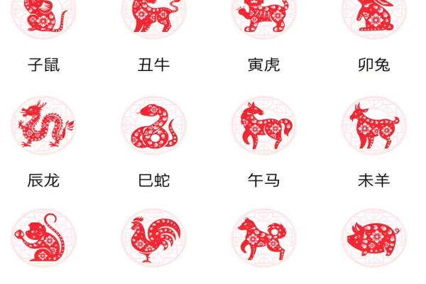 一九九四年出生的生肖与命运解析：揭示你的性格与未来运势