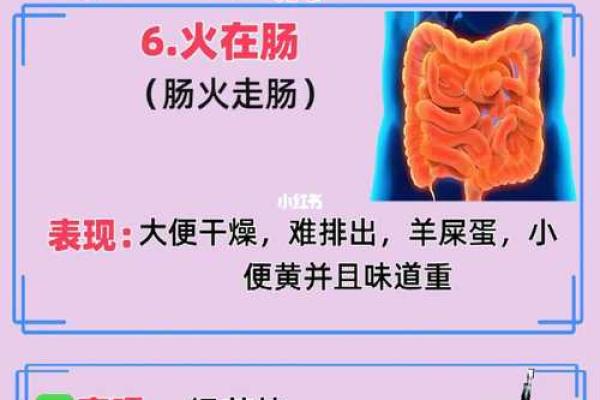 火旺命局与疾病的关联：探秘健康隐患与调理方法