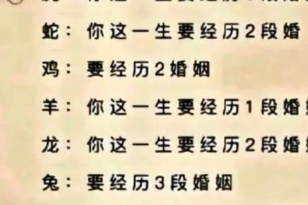 根据年份看命运，探秘你我的生肖人生之路