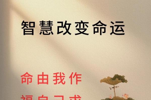 天生老爷命：直面命运与人生的智慧之旅