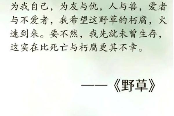 没有爸妈的人是什么命:生命的坚韧与希望 没有爸妈的人是什么命:生命的坚韧与希望