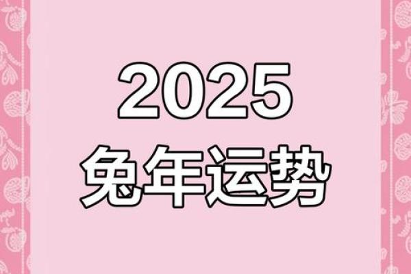 2023年兔年运势解析：兔子命的出彩人生与机遇