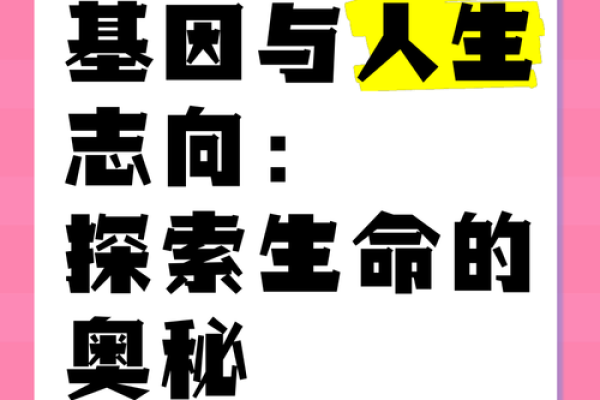 1983年出生的命运解析：探索人生旅途的奥秘与智慧