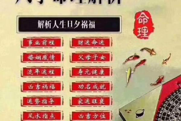 不会算命能算什么命？探寻人生的真正方向与意义