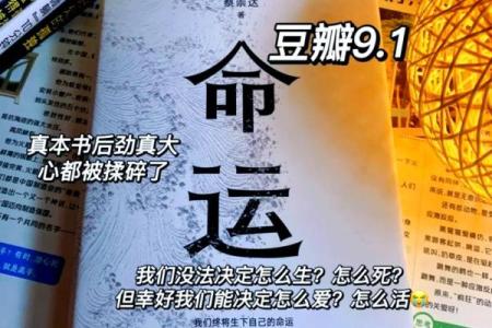 探索1990年9月8日的命运：从历史的角度看人生的选择与机会